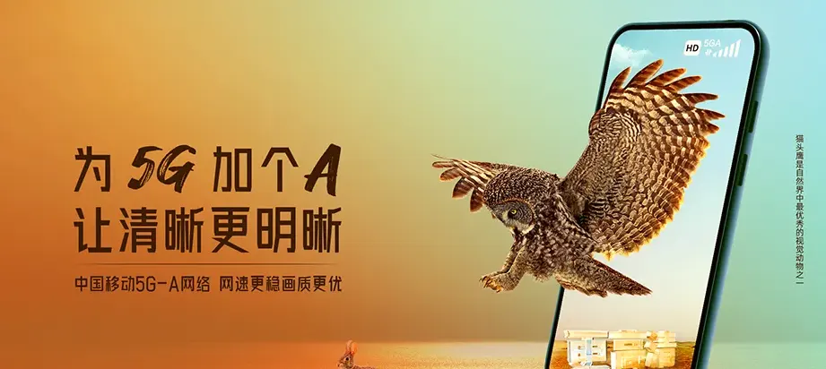 德保县德保县荣华乡 移动宽带