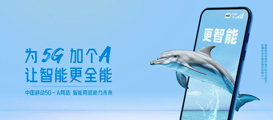 德保县德保县荣华乡 移动宽带